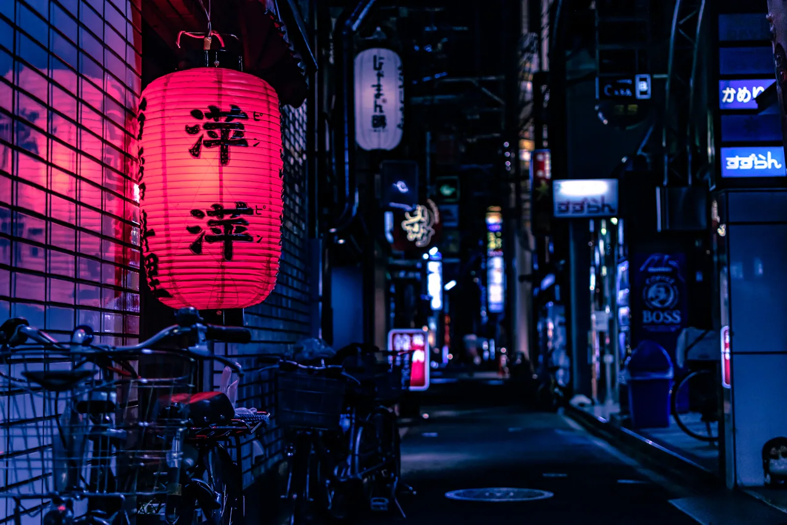 All Japan workation