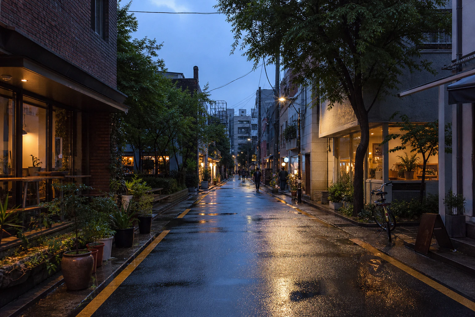 늦여름 비가 그친 뒤 카페 불빛과 나무가 이어지는 저층 도시 골목